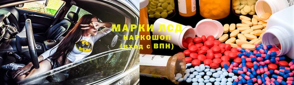 сатива Алексин